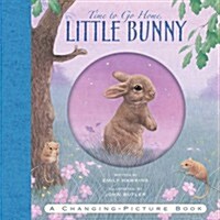 Time to Go Home Little Bunny (Hardcover)