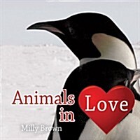 Animals in Love (Hardcover)