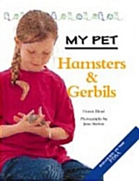 MY PET HAMSTERS & GERBILS (Paperback)
