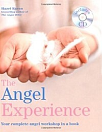 Angel Experience (Paperback)