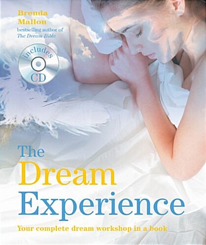 Dream Experience (Hardcover)