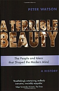 Terrible Beauty: A Cultural History of the Twentieth Century : The People and Ideas that Shaped the Modern Mind: A History (Paperback)