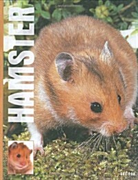 Hamsters (Hardcover)