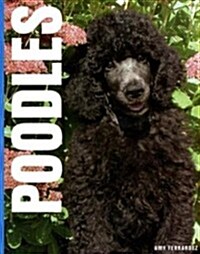 Poodles (Hardcover)