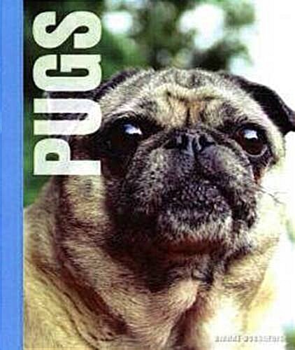 Pugs (Hardcover)