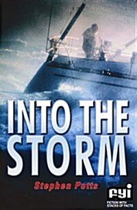 Into the Storm (Paperback)