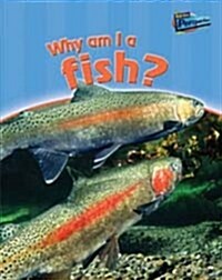 Why am I a Fish? (Paperback)