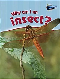 Why am I an Insect? (Paperback)