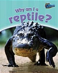 Why am I a Reptile? (Paperback)