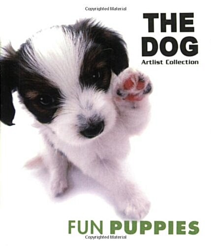 Fun Puppies (Paperback)