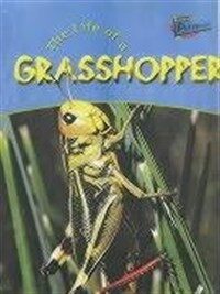 (The)life of a grasshopper 표지이미지