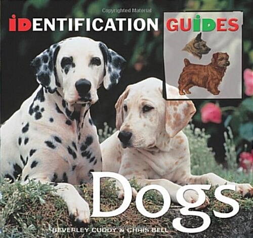 Dogs : Identification Guide (Paperback, New ed)