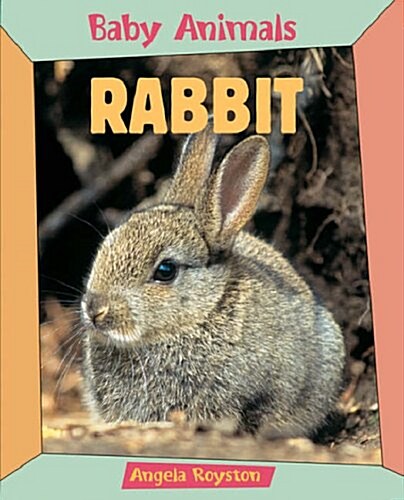Rabbit (Paperback, New ed)
