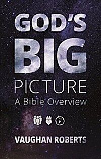 [중고] God‘s Big Picture : A Bible Overview (Paperback)