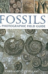 Fossils : A Photographic Field Guide (Hardcover)