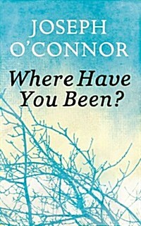 Where Have You Been? (Hardcover)