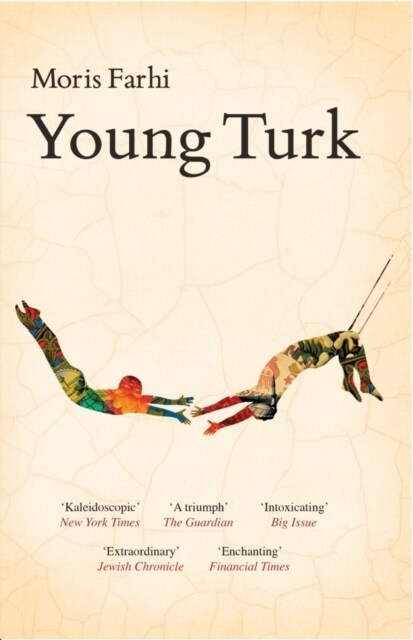 Young Turk (Paperback, New edition)