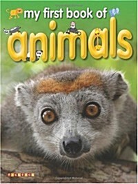 My First Book of Animals (Paperback)