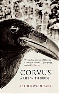 Corvus : A Life with Birds (Paperback)