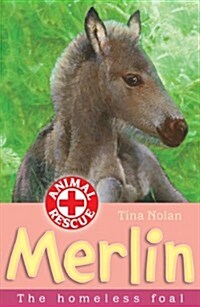 Merlin : The Homeless Foal (Paperback)