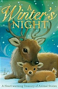 A Winters Night (Paperback)