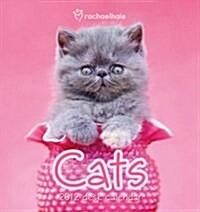 Official Rachael Hale Cats Desk Tent Calendar 2012 (Paperback)