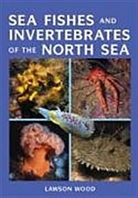 Sea Fishes and Invertebrates of the North Sea (Paperback)