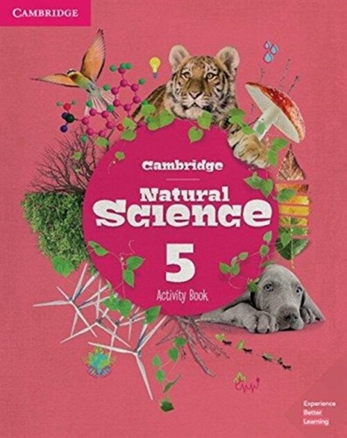 Cambridge Natural Science Level 5 Activity Book (Paperback)