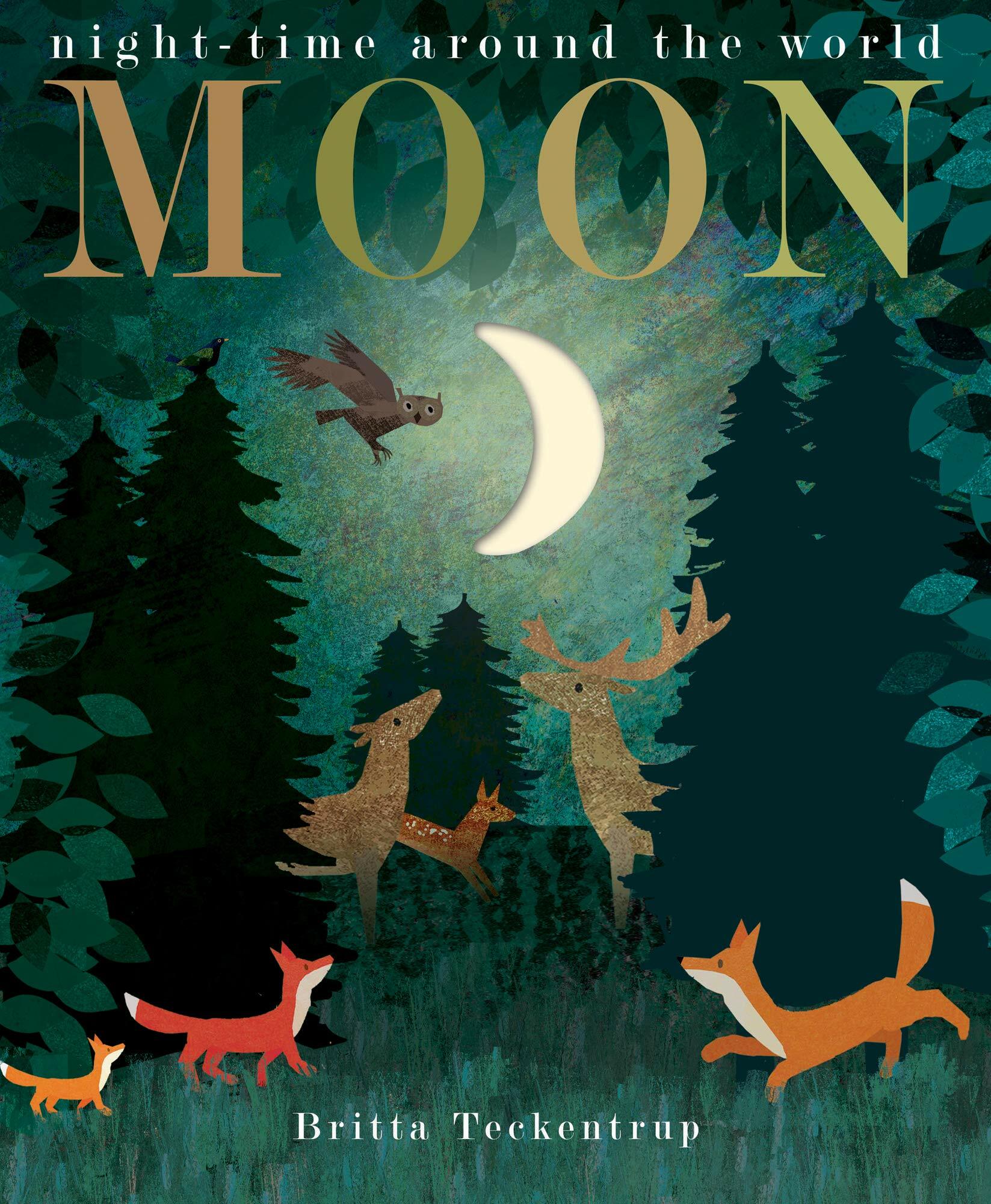 [중고] Moon (Paperback)