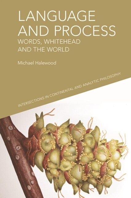 Language and Process : Words, Whitehead and the World (Hardcover)