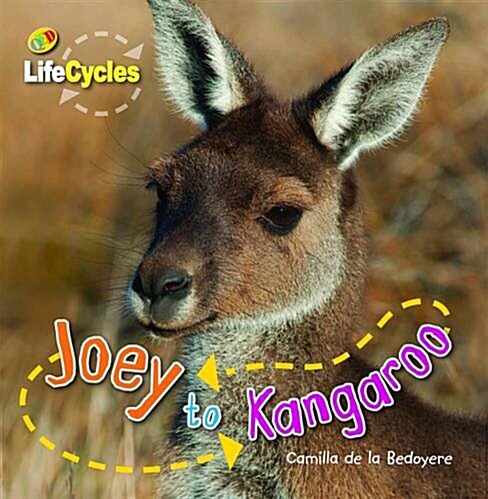 Lifecycles: Joey to Kangaroo (Paperback)
