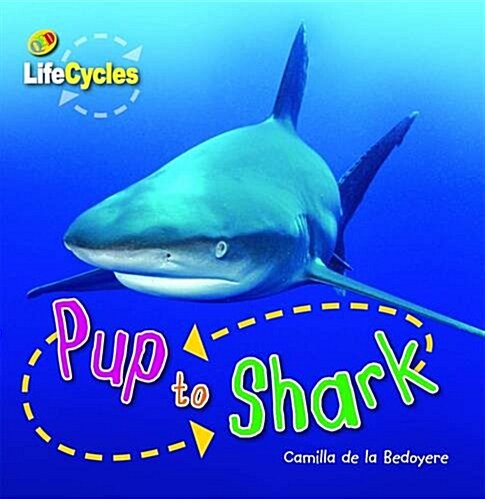 [중고] Lifecycles: Pup to Shark (Paperback)