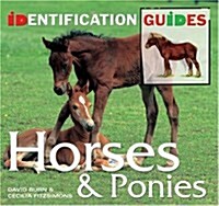 Horses & Ponies : Identification Guide (Paperback, New ed)