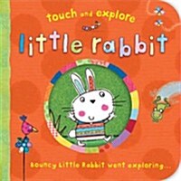 Little Rabbit (Hardcover)
