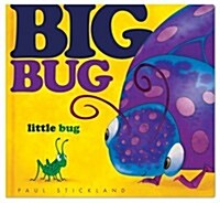 Big Bug, Little Bug (Hardcover)