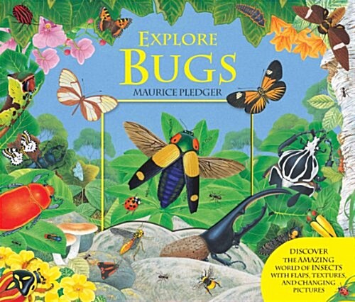 Explore Bugs (Hardcover)