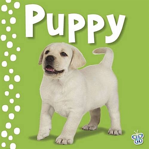 Touch and Feel Puppy (Hardcover)