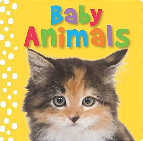Touch and Feel Baby Animals (Hardcover)