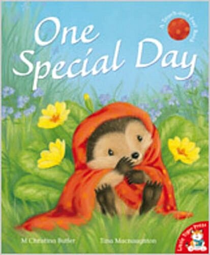 One Special Day (Paperback)