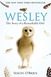 Wesley : The Story of a Remarkable Owl (Paperback)