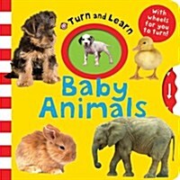 [중고] Baby Animals (Hardcover)