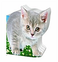 Kitten (Paperback)