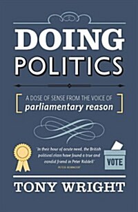 Doing Politics (Paperback)