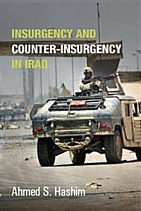 Insurgency and Counter-Insurgency in Iraq (Hardcover)