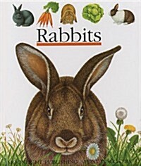 Rabbits (Hardcover)