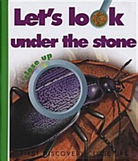 Lets Look Under the Stone (Spiral)