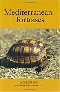 Mediterranean Tortoises (Hardcover)
