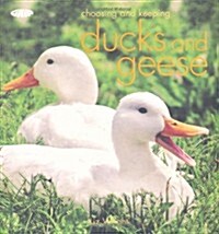 Choosing and Keeping Ducks and Geese (Paperback)