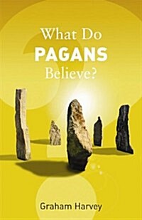What Do Pagans Believe? (Paperback)