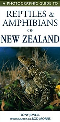 A Photographic Guide to Reptiles & Amphibians of New Zealand (Paperback)